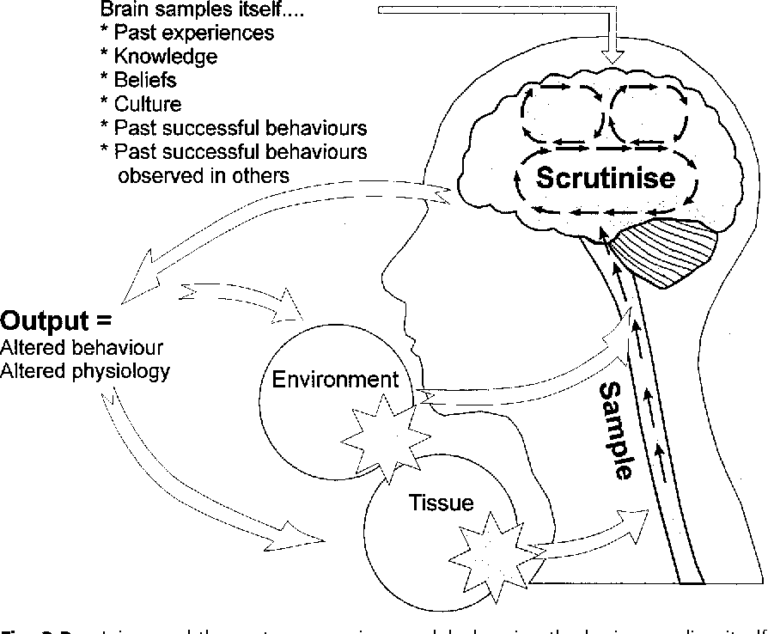 Thinking About Pain – Therapydia Blog